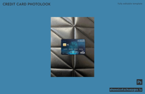 Vorschau der Fotoansicht der Chad Ecobank Visa-Karte